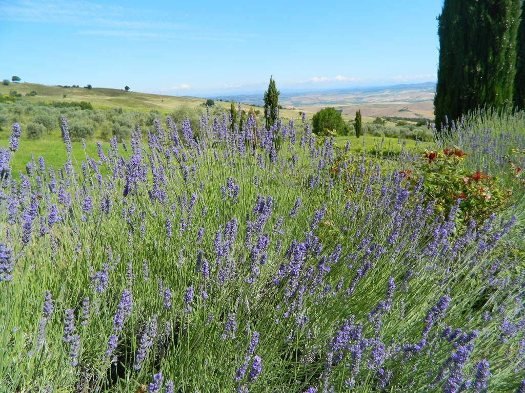 Le Rogheta Villa Campiglia dʼOrcia Eksteriør billede