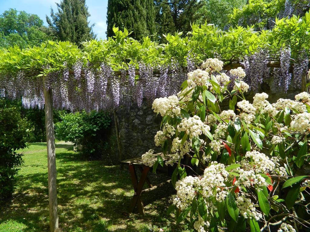 Le Rogheta Villa Campiglia dʼOrcia Eksteriør billede