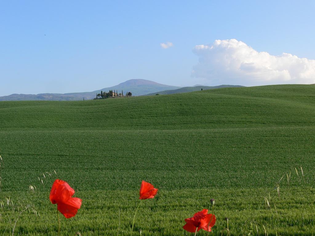 Le Rogheta Villa Campiglia dʼOrcia Eksteriør billede