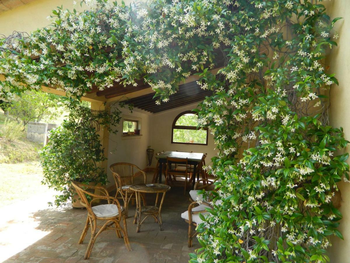 Le Rogheta Villa Campiglia dʼOrcia Eksteriør billede